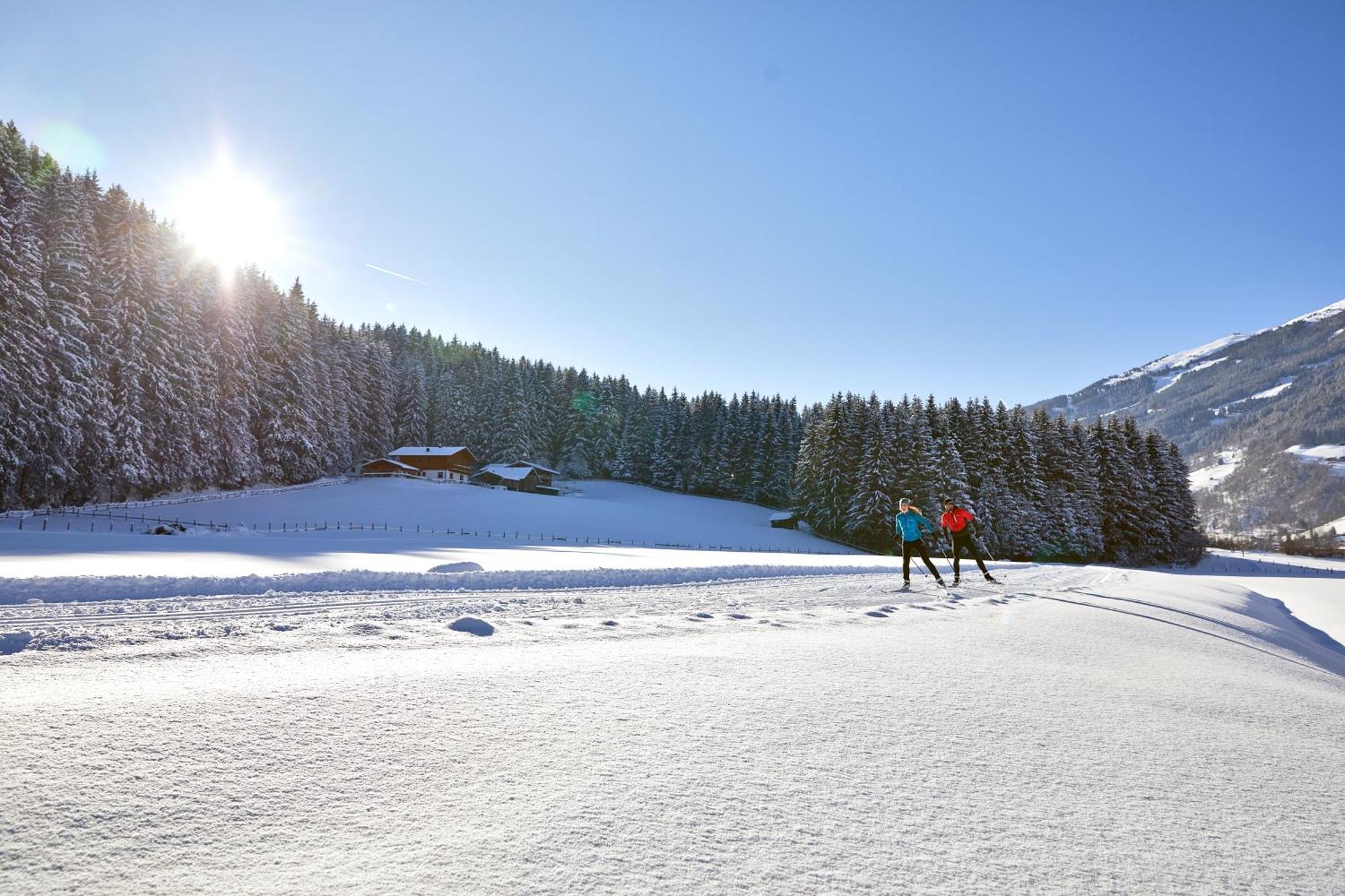 Appartements Mary Inklusive Tauern-Spa คาพรูน ภายนอก รูปภาพ