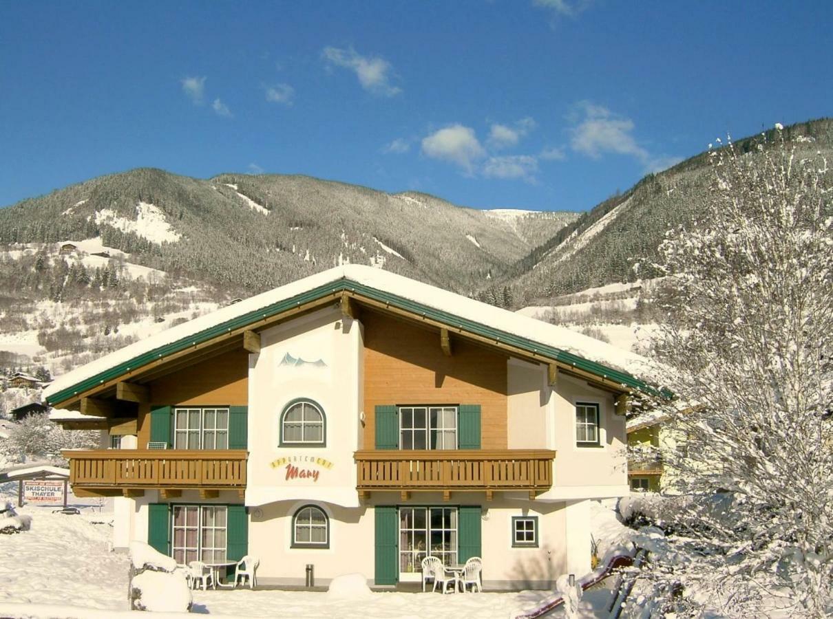 Appartements Mary Inklusive Tauern-Spa คาพรูน ภายนอก รูปภาพ